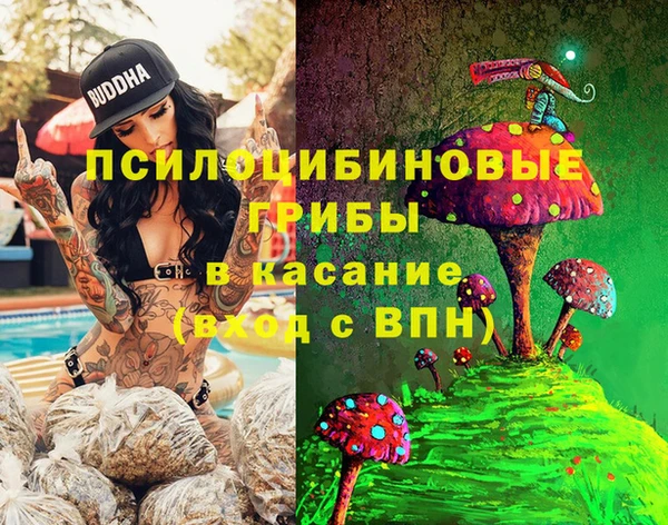 ПСИЛОЦИБИНОВЫЕ ГРИБЫ Беломорск