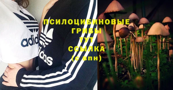 кристаллы Тобольск